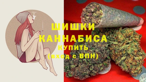 индика Абдулино
