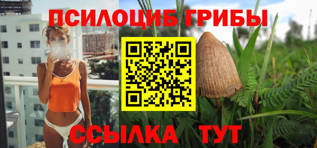 Грязи  Галлюциногенные грибы MAGIC MUSHROOMS  Вход с VPN 
