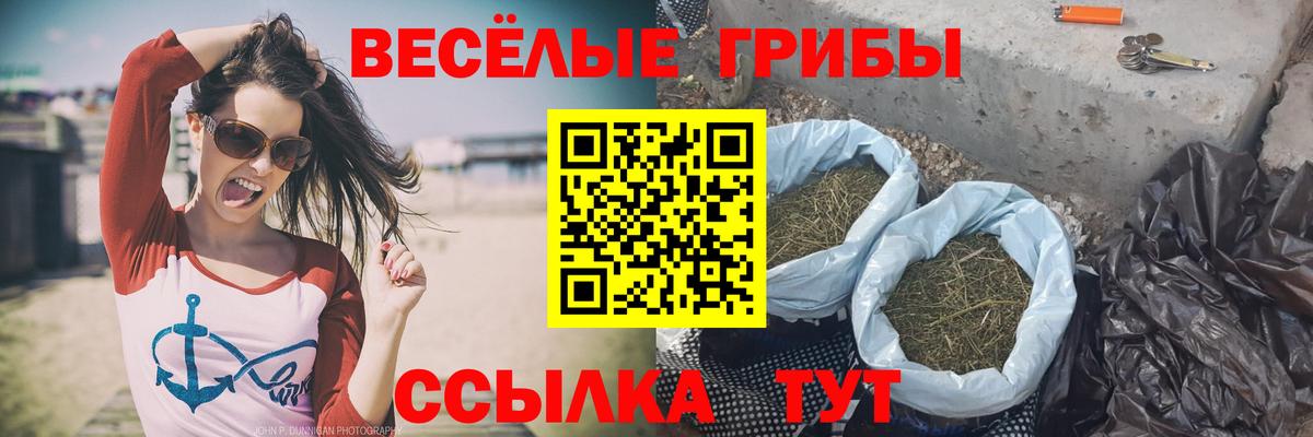 Псилоцибиновые грибы GOLDEN TEACHER Грязи